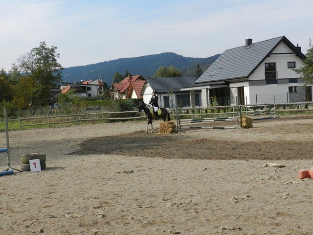 Babie Lato 2016